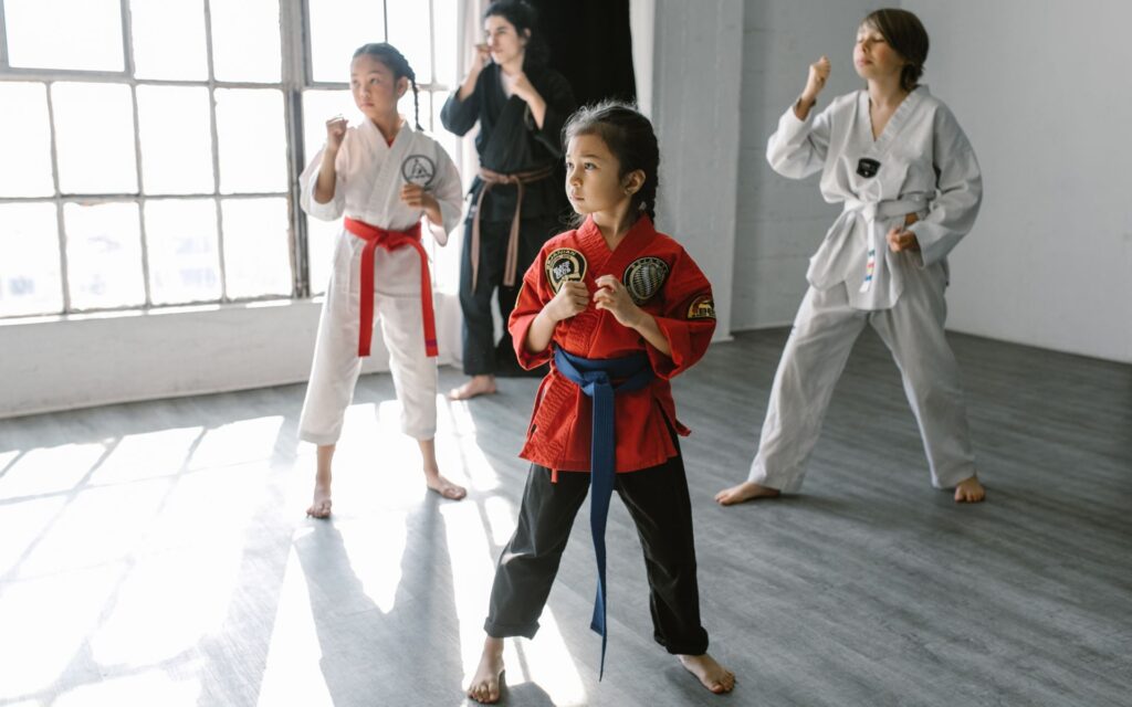 Which Martial Art Should I Learn?  Martial Arts Guide