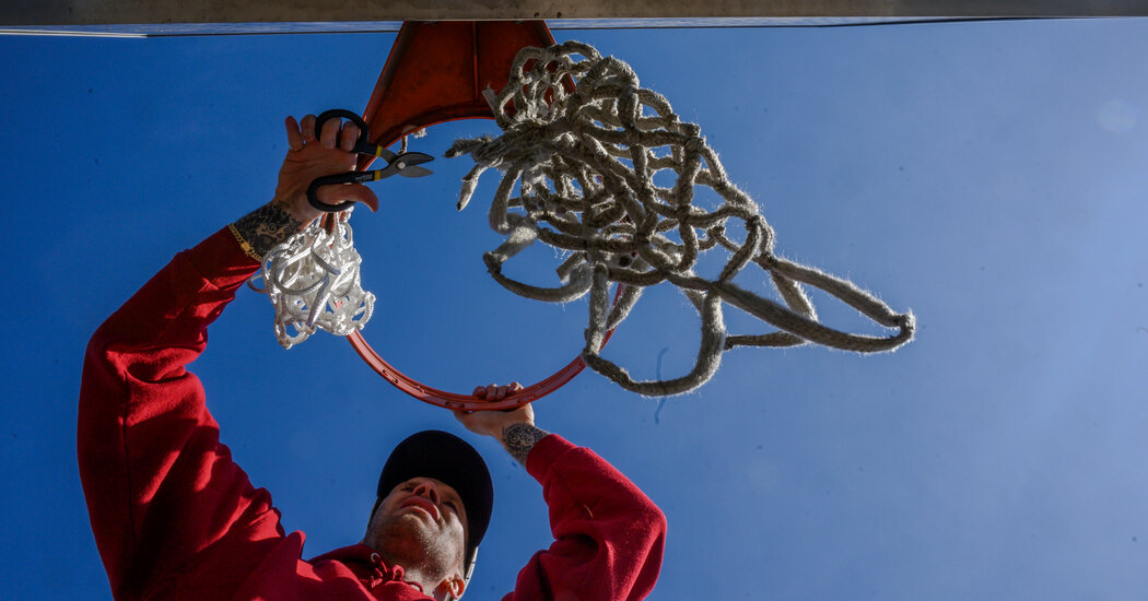 Flattened Basketballs as Art