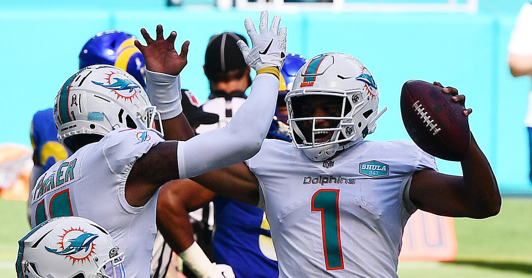 The Dolphins Appear to Be Relevant. How About That?